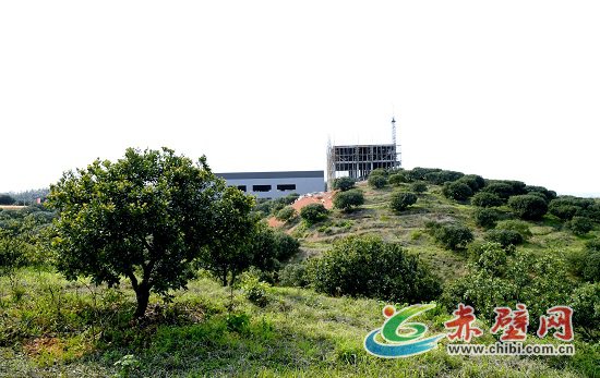 余家桥乡财经所:算好惠农每笔账_赤壁网--赤壁市权威