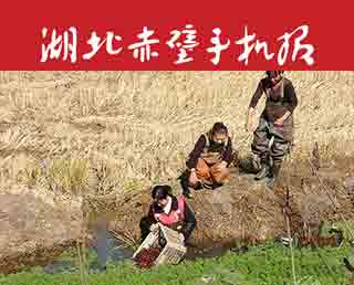 2023年11月23日