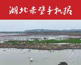 2023年11月28日