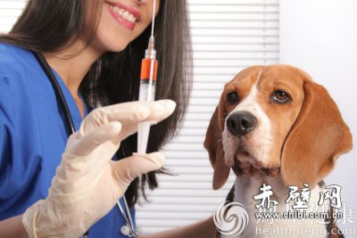北京市新增一狂犬病疫苗注射门诊