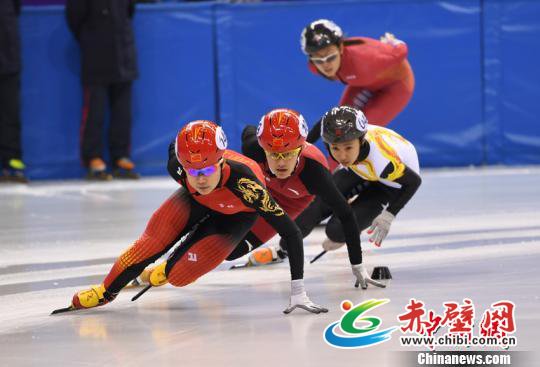 中国杯短道速滑精英联赛在长春开赛 张瑶 摄 中国杯短道速滑精英联赛在长春开赛 张瑶 摄