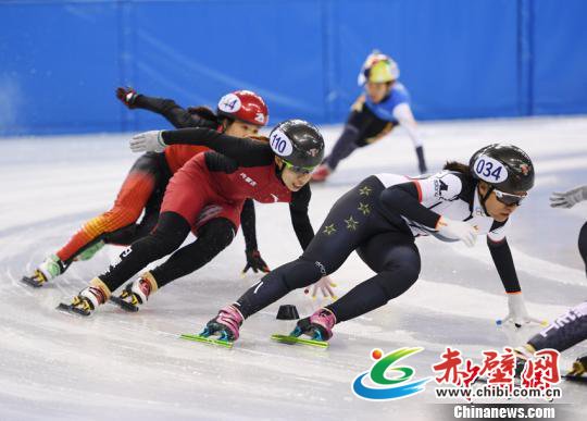 中国杯短道速滑精英联赛在长春开赛 张瑶 摄 中国杯短道速滑精英联赛在长春开赛 张瑶 摄