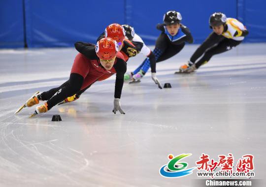中国杯短道速滑精英联赛在长春开赛 张瑶 摄 中国杯短道速滑精英联赛在长春开赛 张瑶 摄