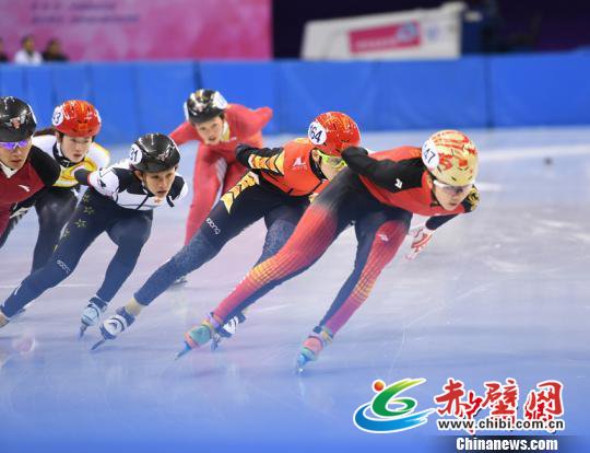 中国杯短道速滑精英联赛在长春开赛 张瑶 摄 中国杯短道速滑精英联赛在长春开赛 张瑶 摄