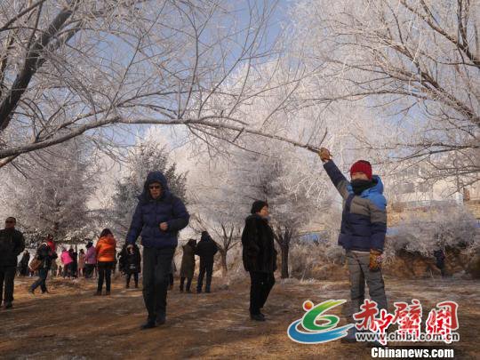 春节期间,游客在吉林松花江边欣赏雾凇景观。 苍雁 摄 春节期间,游客在吉林松花江边欣赏雾凇景观。 苍雁 摄